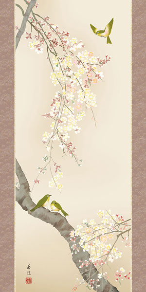 花鳥の掛け軸 西尾香悦作 桜花